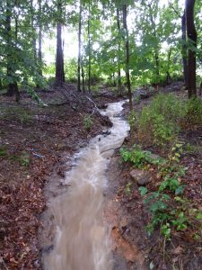 View nwest behind adj. homeowner properties, block 64, lot 10 & 9