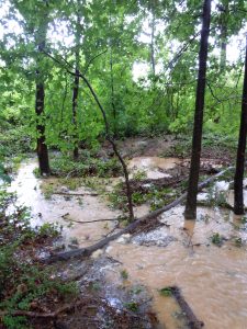 swest corner of BHS woods, block 64, lot 1; ponding, waterflow