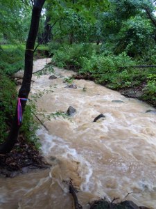 Torrent flowing east & southeast; confluence of two tributaries to Penn's Brook; behind block 64, lot 13 &14