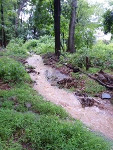 view north, intermittent stream,  block 64, lots 10 & 11